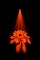 Chauvet DJ INTIMIDATOR SPOT 375Z IRC WHITE thumbnail 9