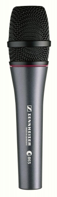 Sennheiser e865 Evolution Supercardioid Condenser Microphone